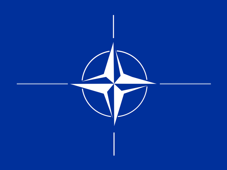 Nato: En olaglig organisation med allvarliga psykologiska problem.