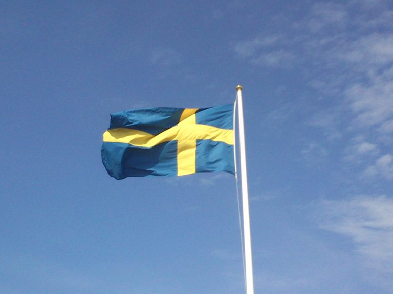 Nationaldagen! Stå upp för Sveriges självständighet! Manifestera mot utländska baser (DCA)! Och flytta nationaldagen till midsommar?