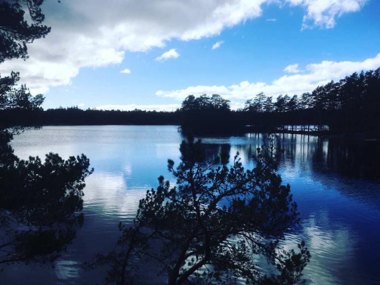 Vattenplundring i Sverige