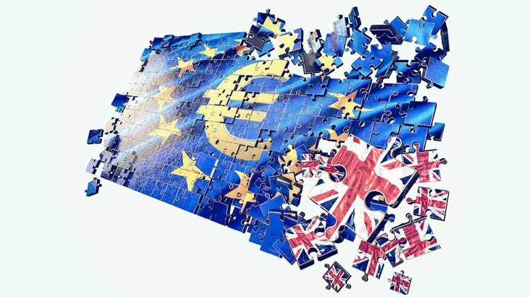 EU håller på att bli anti-Brexitrörelsens mardröm