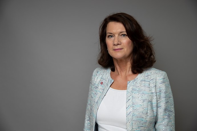 Valfusk i Vitryssland? – Statsrådet och sanktionerna