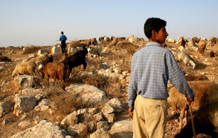 Västländer fördömer olagliga israeliska bosättningar – men Sverige tiger