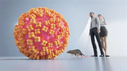 Hantavirus: Amerikanska armén utvecklar 13 genbaserade behandlingar